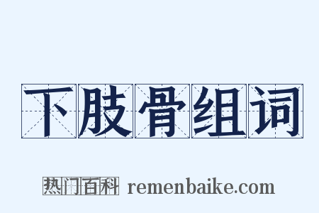 下肢骨组词是什么意思的图片